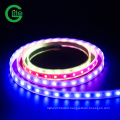 High Brightness LED Pixel Ws2811 RGB Pixel LED Light 30LED 9W LED Strip DC12 Strip for Decoration